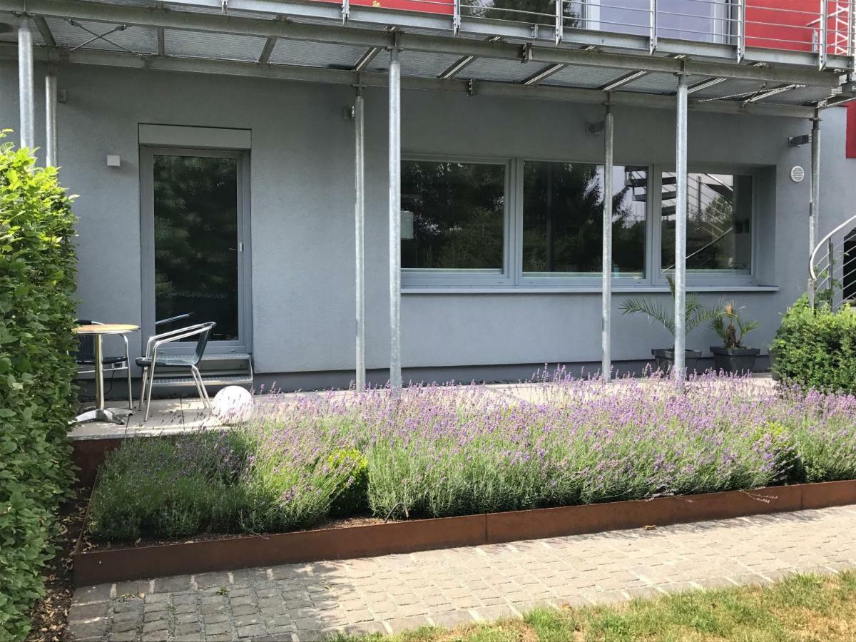 Wander- Und Aktivchalet Birkenfeld  Esterno foto